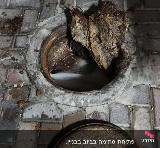 פתח ביוב פתוח עם שורשים וכלי עבודה
